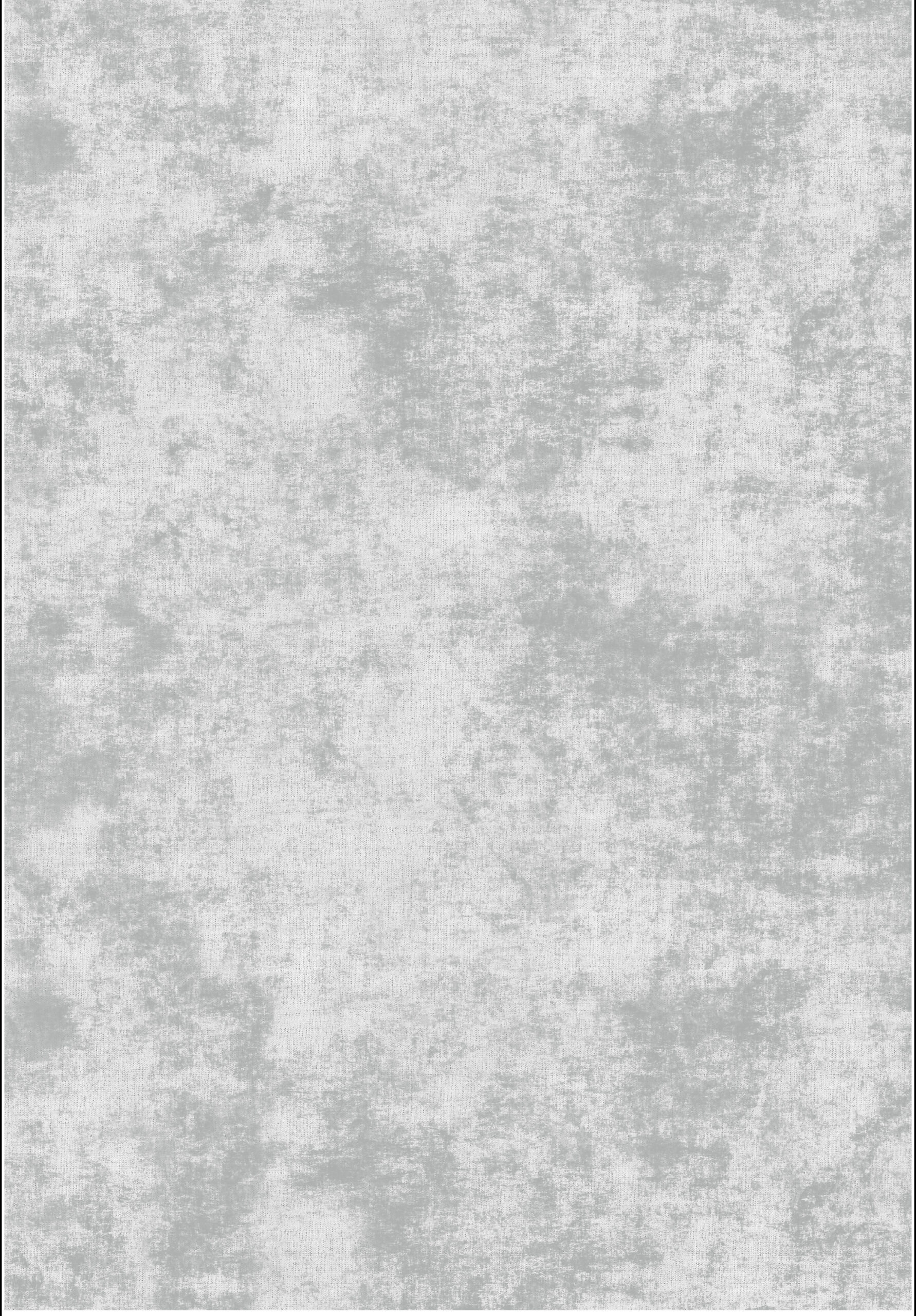 Light Grey Distressed Rug